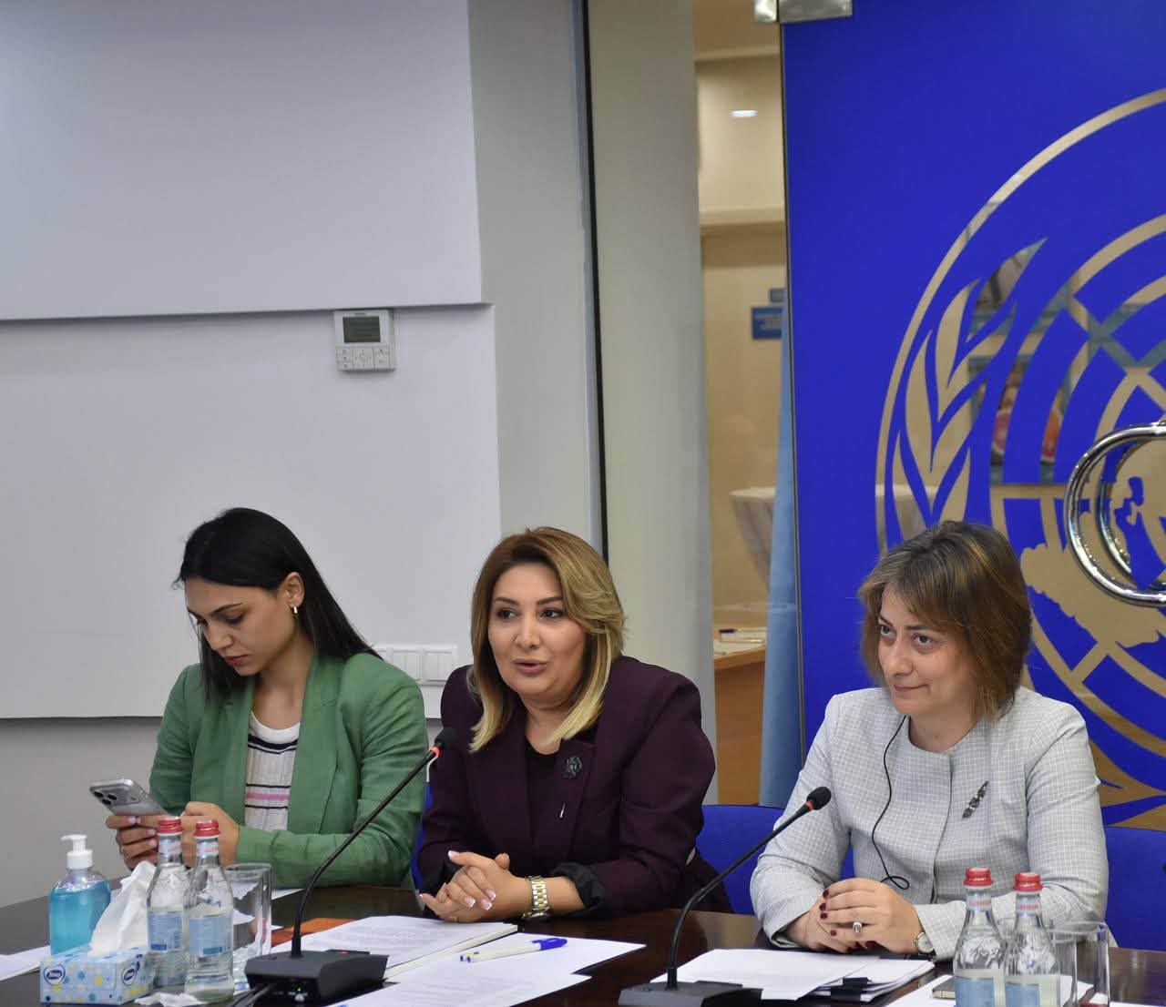 Տեղի է ունեցել ՄԱԿ-ի Ընդլայնված գենդերային թեմատիկ խմբի «Կանանց քաղաքական մասնակցություն» ենթախմբի հերթական հանդիպումը